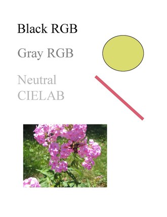 Ghostscript text graphic image.pdf