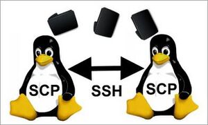 Scp-between-linux-computers.jpg