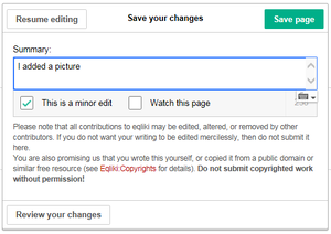 Editwiki18.png