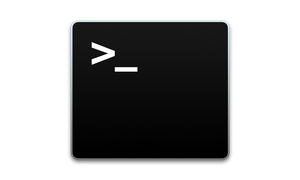 Terminal Icon.png